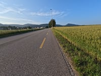 Lostorf von Obergösgen