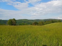 Loučka von Bystřice