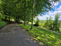 Lousberg via Buchenallee