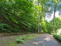 Lousberg via Buchenallee