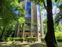 Lousberg via Buchenallee
