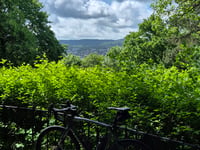 Lousberg via Buchenallee