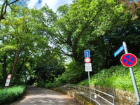 Lousberg via Kupferstrasse