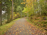 Løvstien von Fjøsanger