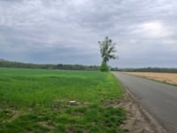 Loyers von Lives-sur-Meuse