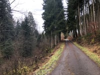 Ludwigshof from Oberhausen