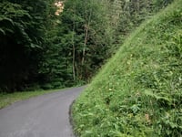 Lüggisweid da Därligen