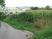 Luijtenweg da Schin op Geul