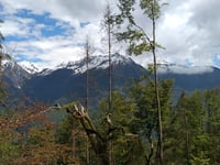 Lullion von Esserts-Blay