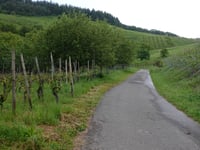 Lunzeberghütte von Kröv