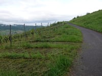 Lunzeberghütte von Kröv
