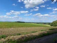 Luseberg von Nottuln