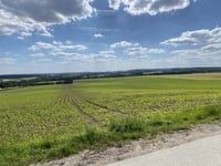 Luseberg von Nottuln