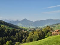 Lustnaustrasse von Sattel