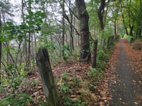 Maarnse Berg von Driebergen