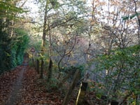 Maarnse Berg von Driebergen