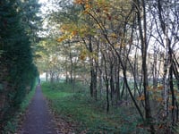 Maarnse Berg von Driebergen