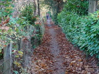 Maarnse Berg von Driebergen