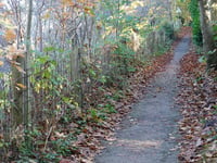 Maarnse Berg von Driebergen