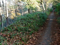 Maarnse Berg von Driebergen