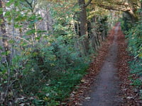 Maarnse Berg von Driebergen