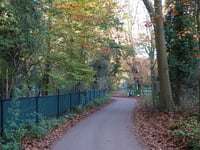 Maarnse Berg von Maarn