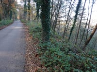 Maarnse Berg von Maarn