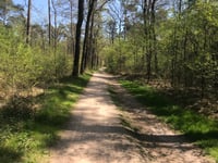 Maarnseweg von Austerlitz