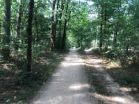 Maarnseweg von Maarn
