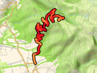 Macchie Plane da Amatrice