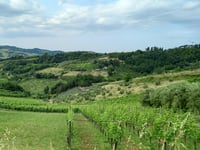 Madonna dell'Olivo via Via Castello di Carpineta