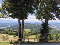 Magdalensberg