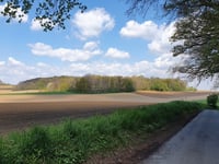 Magneebos via Heksbosberg & Zalenberg