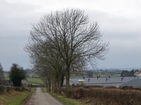 Mähheider Strasse