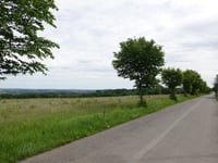 Maison-Bois from Rue Jean Gôme