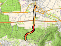Maispracherstrasse da Möhlin