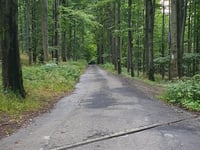 Malá Prašivá von Oblesky