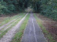 Maldensebaan