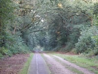 Maldensebaan