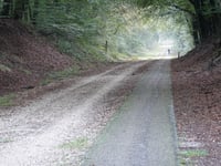 Maldensebaan