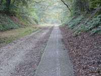 Maldensebaan
