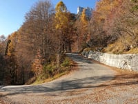 Malga Framónt da Agordo