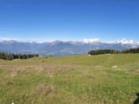 Malga Mezzomiglio da Farra d'Alpago