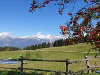 Malga Mezzomiglio von Farra d'Alpago