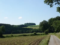 Malscheid
