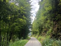 Manessen