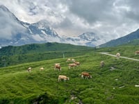 Männlichen da Grindelwald