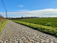 Manshoven von Sassenbroek