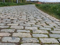 Manshoven da Sassenbroek