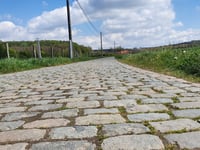 Manshoven von Sassenbroek